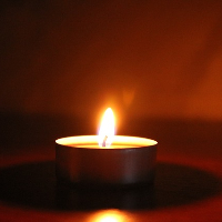 Liv-Torill Fagerhøi