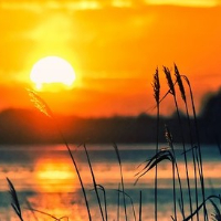 Bjørg Anne-Lise Karlsen