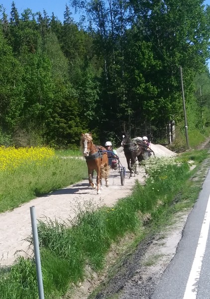 Klikk for å se forhåndsvisning